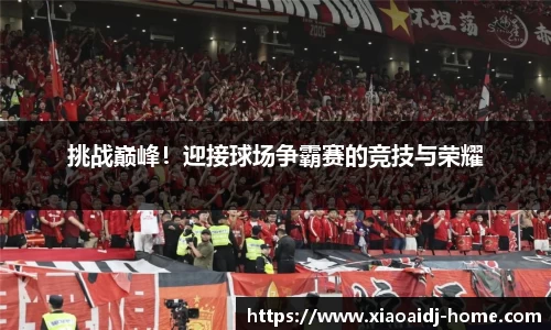 小艾电竞官方正版网站